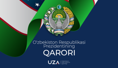Об утверждении Национальной программы образования в области прав человека в Республике Узбекистан
