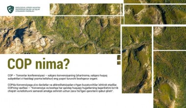 Атроф-муҳит муҳофазасида Томонлар конференцияси (COP)нинг аҳамияти қандай?