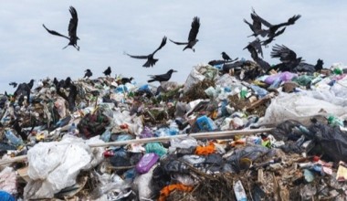 Olimlar Yer yuzida har yili tashlanadigan chiqindilar hajmini hisoblab chiqishdi