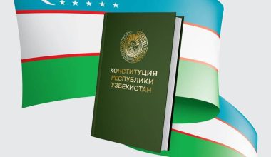 Суть изменений и дополнений, вносимых в Конституцию в части защиты прав человека (на примере подрастающего поколения)