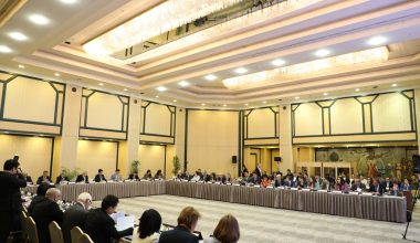Рассмотрены перспективы использования механизмов общественного контроля за достижением национальных целей устойчивого развития