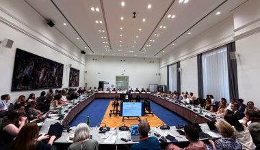 Опыт Узбекистана по правовым гарантиям представлен в Вене