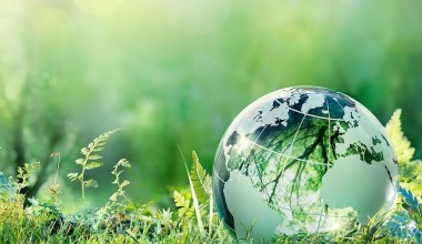 3 mart – Butunjahon yovvoyi tabiat kuni