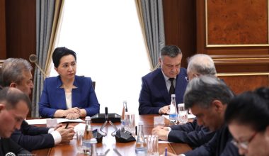 Парламент комиссияси Қорақалпоғистондаги воқеалар бўйича текширув ўтказади