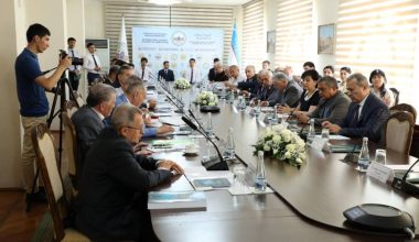 Учинчи Ренессансни шакллантиришда нималарга эътибор қаратиш лозим?