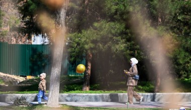 Сўровнома: Тошкентга қандай боғлар керак?