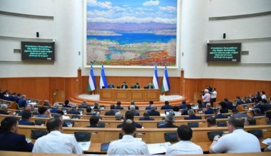 The first day of the plenary session of the Senate Two laws on women's rights were approved