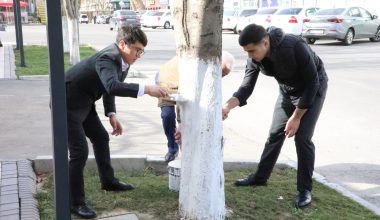 Ҳашар – атроф муҳит ва инсон ҳуқуқлари ҳимоясига эътибор тимсоли