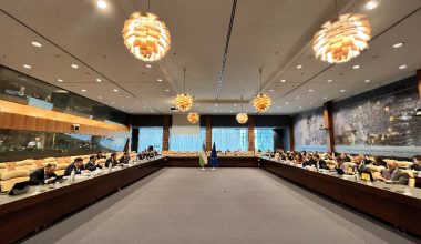 Состоялось 17-е заседание Совета сотрудничества «Узбекистан-ЕС»