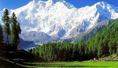 Kashmir muzi juda tez erimoqda