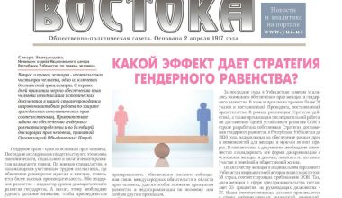 КАКОЙ ЭФФЕКТ ДАЕТ СТРАТЕГИЯ ГЕНДЕРНОГО РАВЕНСТВА?