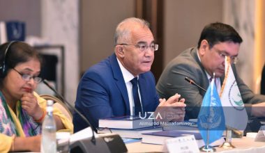 Конституциявий ислоҳотлар: миллий ва халқаро тажриба