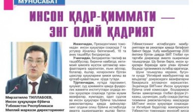 Ўзбекистон – БМТ: Инсон ҳуқуқлари бўйича маъруза моҳияти