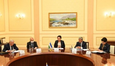 Oliy Majlis Senati Raisining BMT Maxsus ma’ruzachisi bilan uchrashuvi bo‘lib o‘tdi